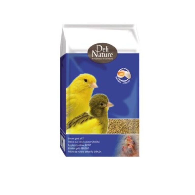 egg food for canaries