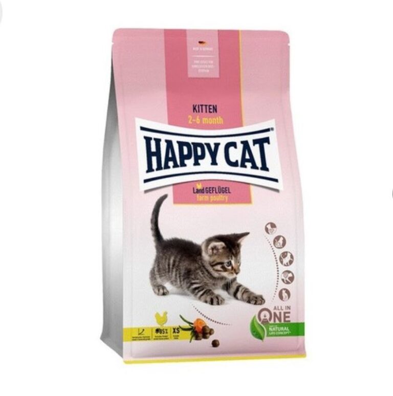 happy car kitten 4 kg