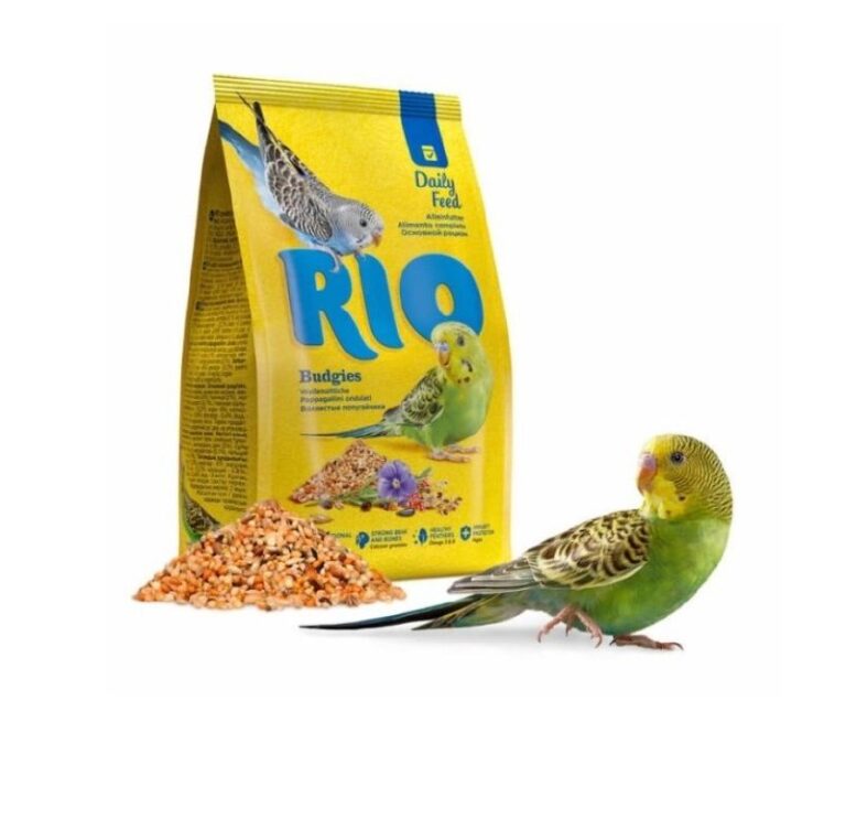 rio budgies