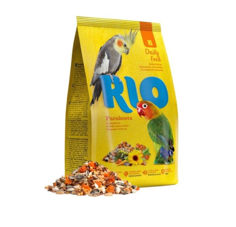 rio parakeets